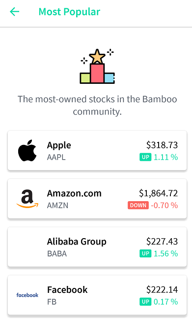 investment invest bamboo