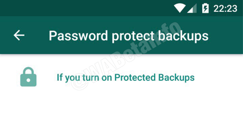 Protect Backup