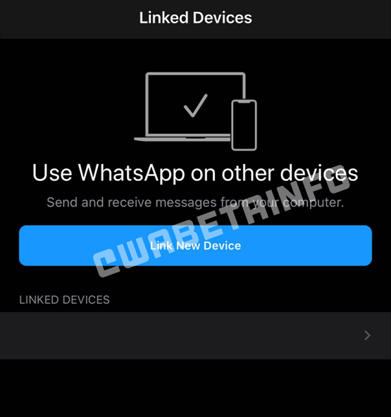 WhatsApp multiple devices