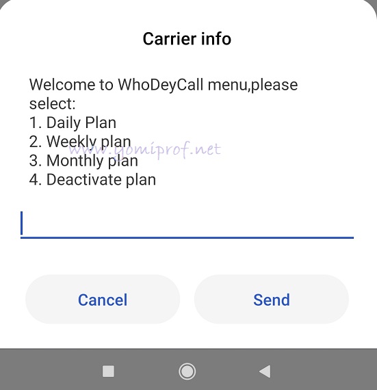 MTN WhoDeyCall services