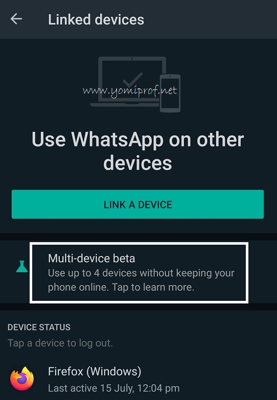 WhatsApp Multi-device feature