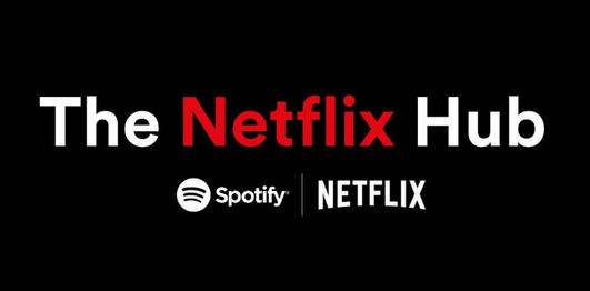 Netflix hub